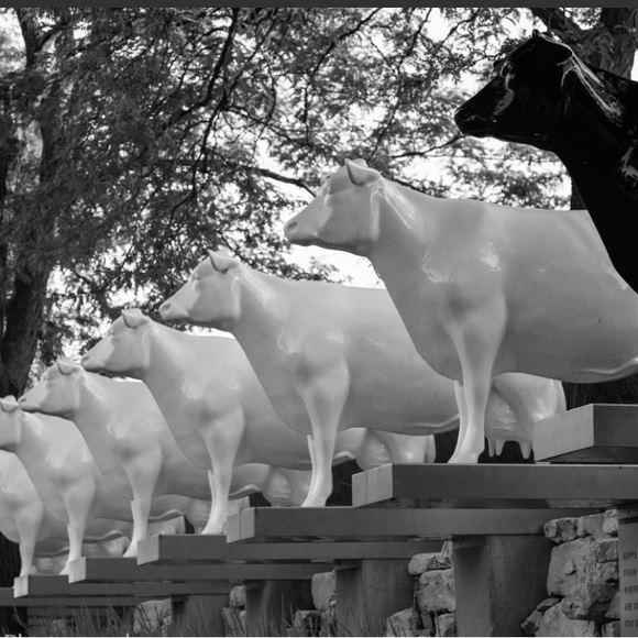 LIKE 4 LIVE. 👁️NEED U. Head in the clouds feet in the sand! - Picture 10 of 10